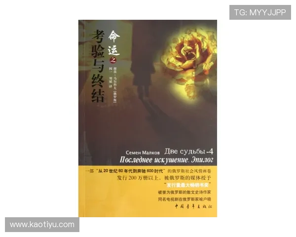 燃情之桥下交错命运与人心考验的爱恨救赎传奇逆风旅程